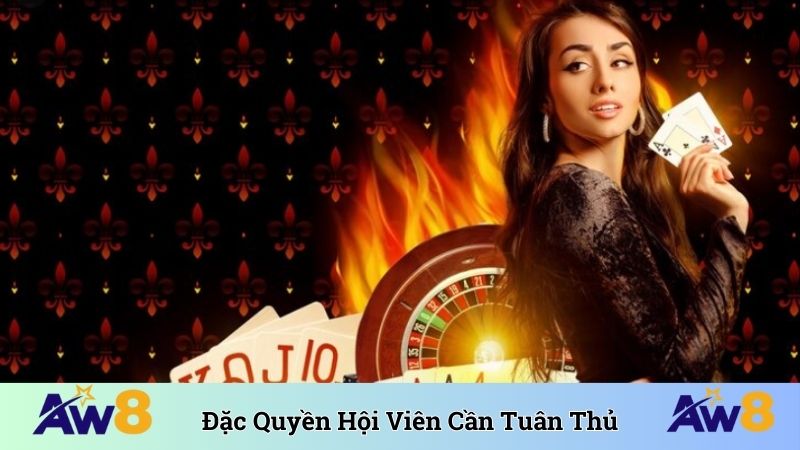 Chương Trình Thành Viên AW8 - Đạt Cấp Kim Cương Thưởng Khủng Đặc quyền hot nhất mà hội viên cần tuân thủ